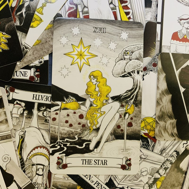 Secret Mirror Tarot kaarten 80 - Board Game Of Life recensie en prijs